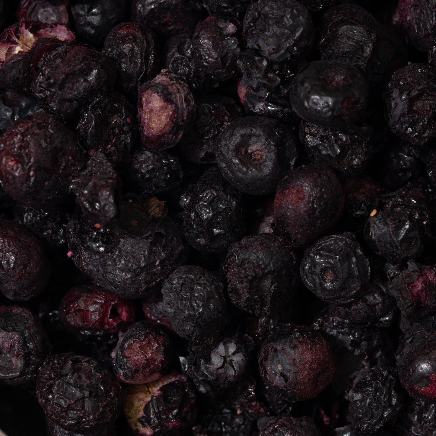 Freeze Died Blueberries