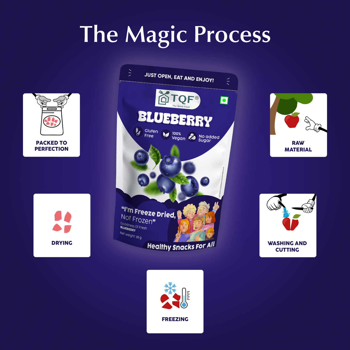 Freeze Dried Blueberry Pack of Two