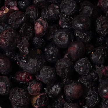 Freeze Died Blueberries